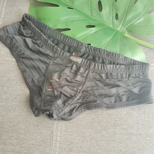 Envy Mens Sheer Low Rise Cheeky Brief